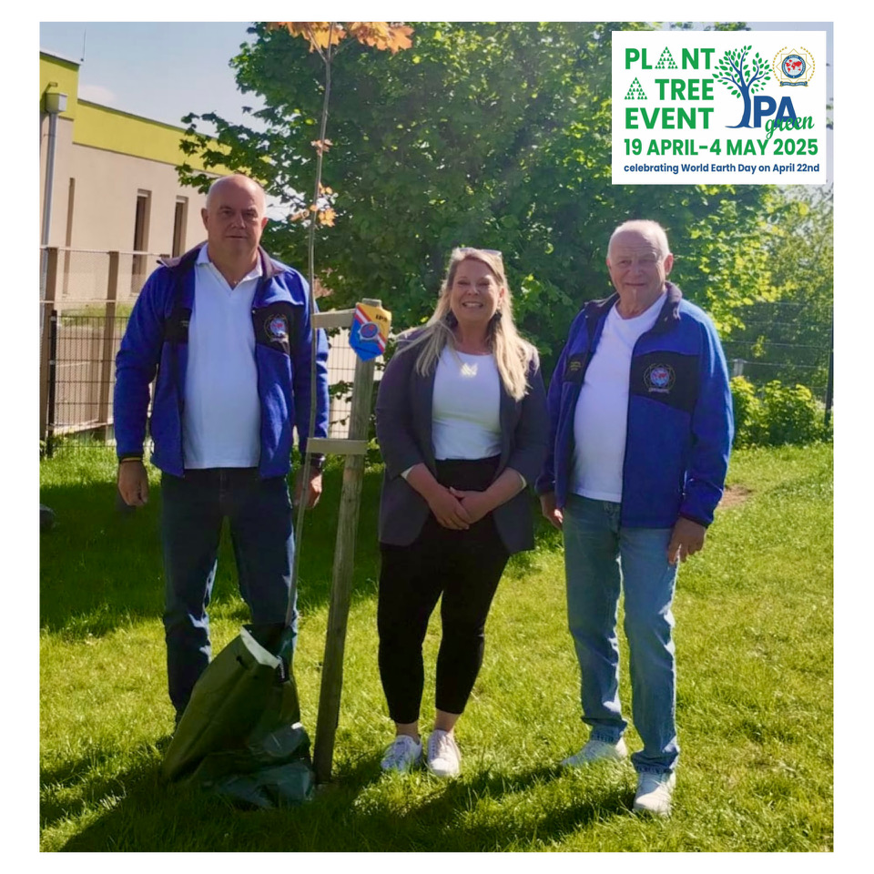 Plant a Tree